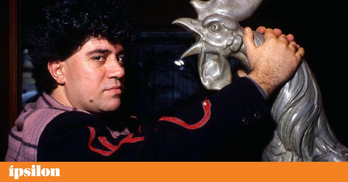 Almodóvar, ainda nos lembramos dele assim?: Aqui está o seu “passado mais completo”. o filme