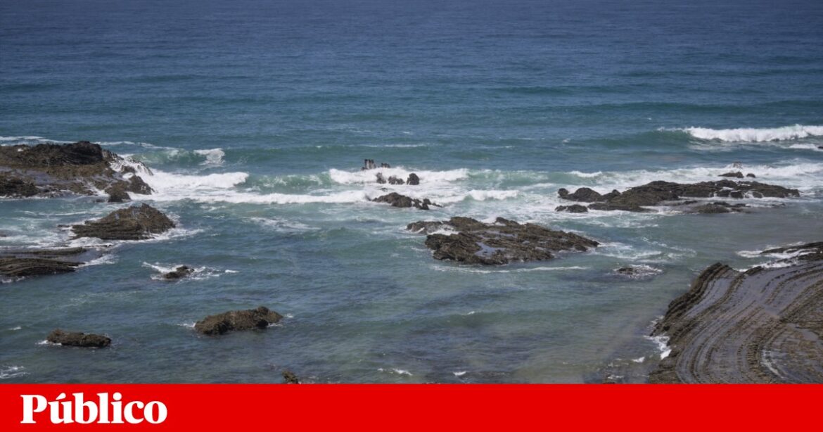 Polícia Marítima recuperou 360 quilos de droga na costa do Algarve crime